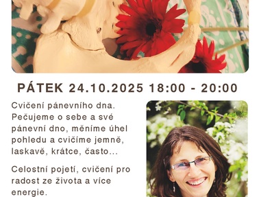 Plakát Drápelová pánevní dno